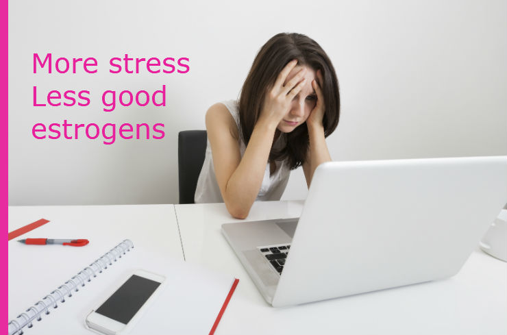 stress affects estrogen during menopause and perimenopause 